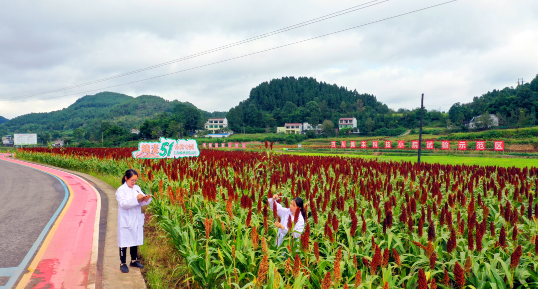榮獲520社會(huì)責(zé)任日ESG營銷最佳案例